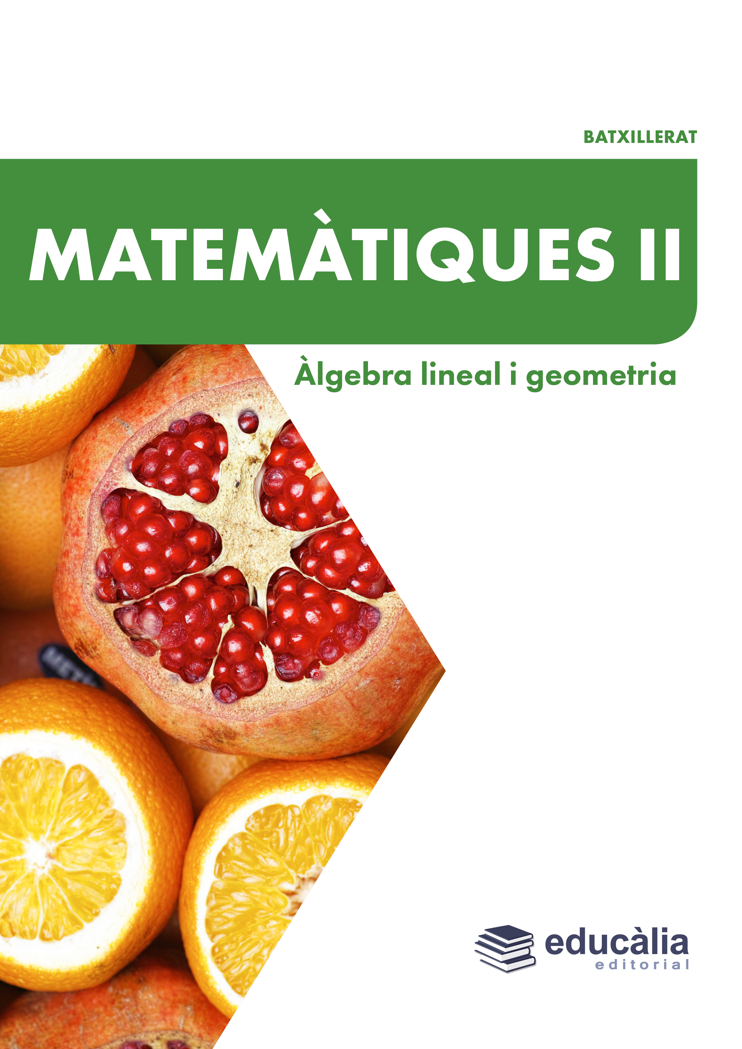 Matemàtiques I